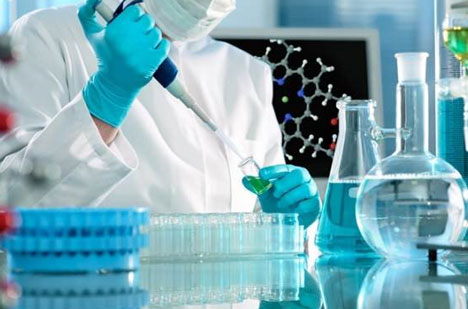 تعیین ماهیت