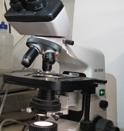 میکروسکوپ نوری